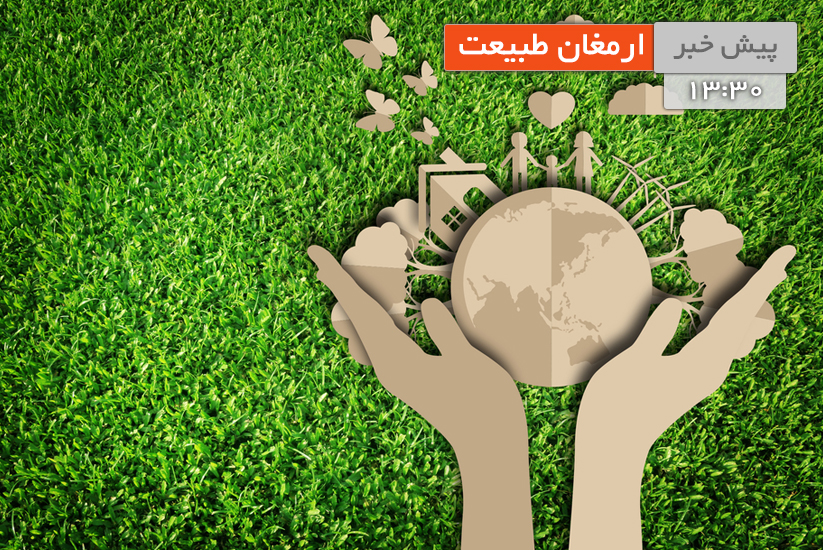 استفاده از آب کشاورزی در پرورش ماهی «ارمغان طبیعت»