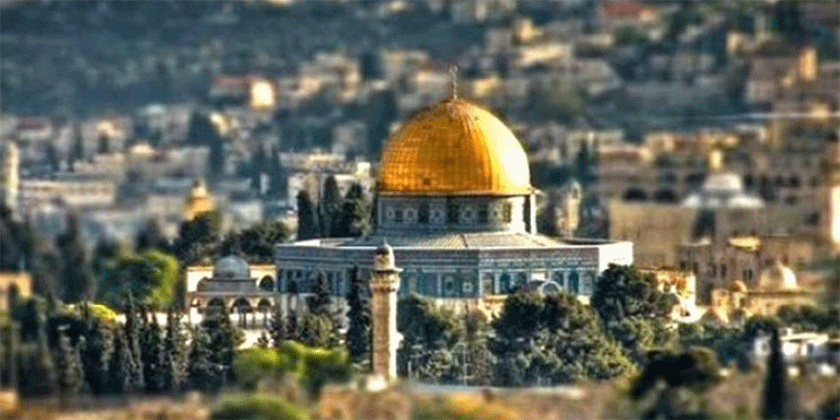 «پرونده‌های فلسطین» از دریچه دوربین پرس تی وی