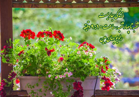 نشاط و پویایی در «زندگی جاریست»