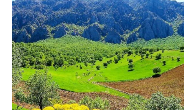 معرفی جاذبه‌های گردشگری روستای نساردیره در «روستا دوستا»