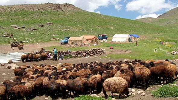 حمایت از تولید در خراسان جنوبی به روایت «بلامانع»