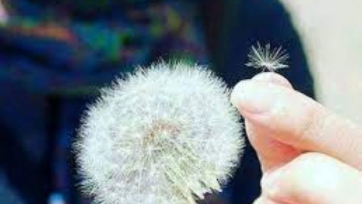 خوشبختی سوژه «بیمارستان صبا» شد