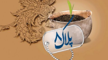پلاک هشت؛ از سنگرهای بی‌نشان تا جهاد تبیین