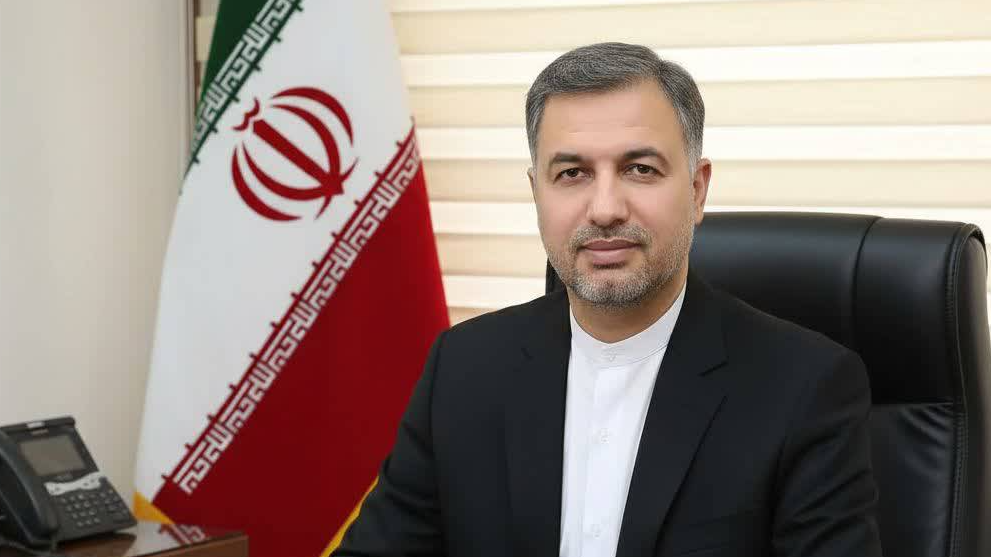 بازنمایی دقیق نهادهای مردمی، شرط تقویت سرمایه اجتماعی