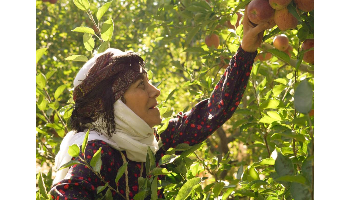 آغاز پخش سریال تلویزیونی «مادران» از جمعه ۱۱ اردیبهشت