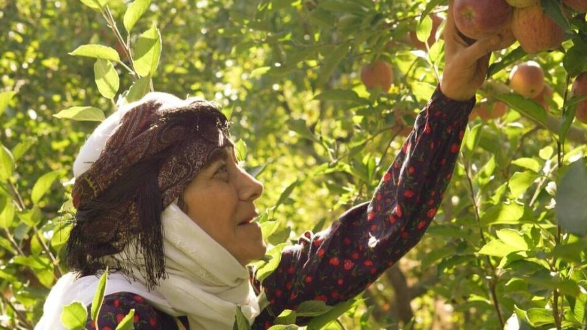«مادران»؛ داستانی از عشق و استقامت در اقصی نقاط ایران / روایتی نو از ایثار مادران شهدا