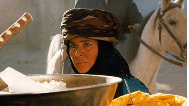 «تیغ آفتاب» روی آنتن شبکه نمایش