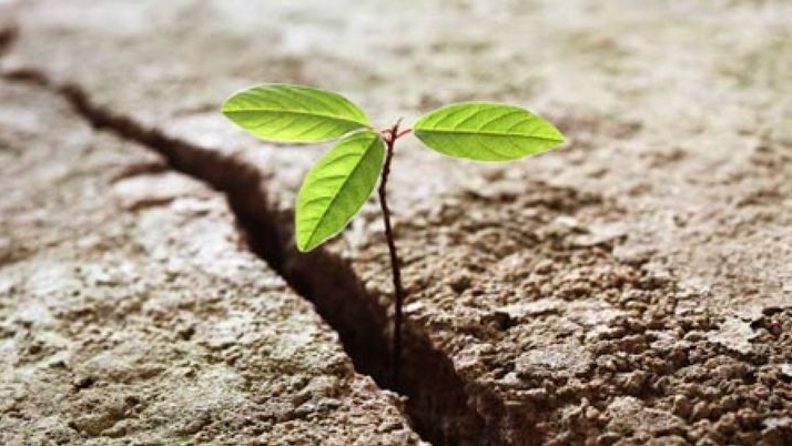 «عصر صبا» از مهارت تاب‌آوری می‌گوید