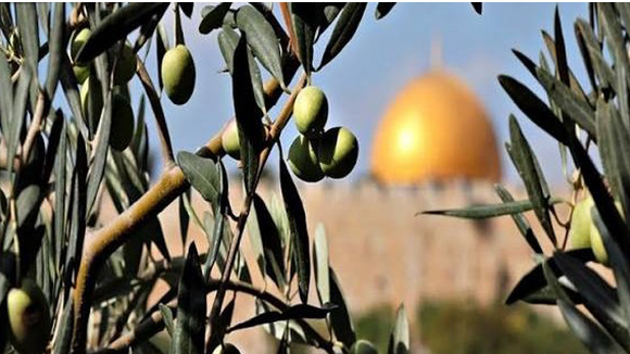 تولید نخستین اثر نمایشی مشترک برون‌مرزی با ترکیه