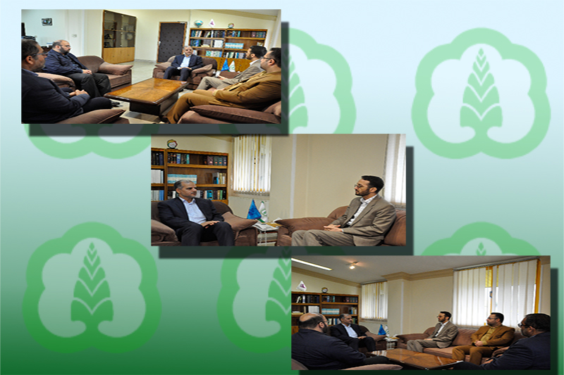 برنامه‎ریزی رسانه استانی گلستان برای دهه کرامت