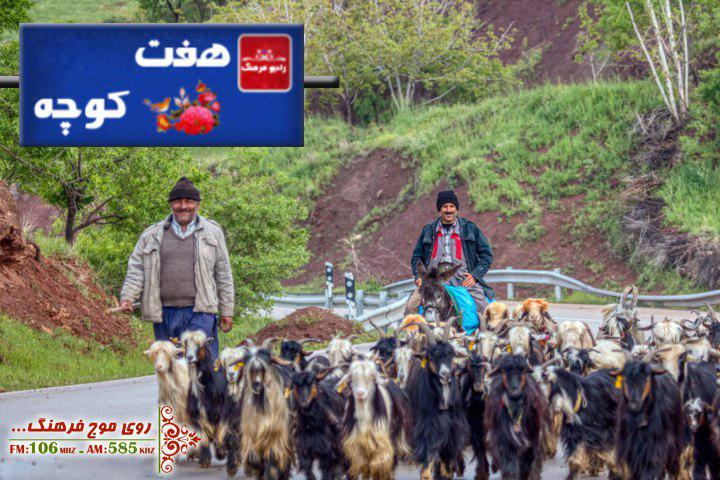 بررسی تأثیر فرهنگ کشاورزی و دامداری بر ضرب‎المثل‎های مردم در «هفت کوچه»