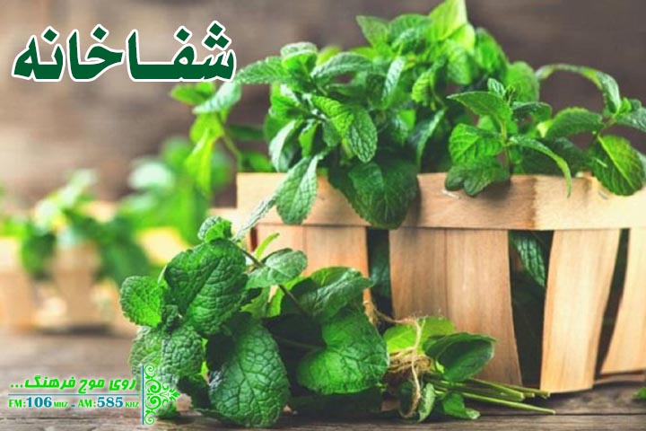 با خواص نعناع آشنا شوید