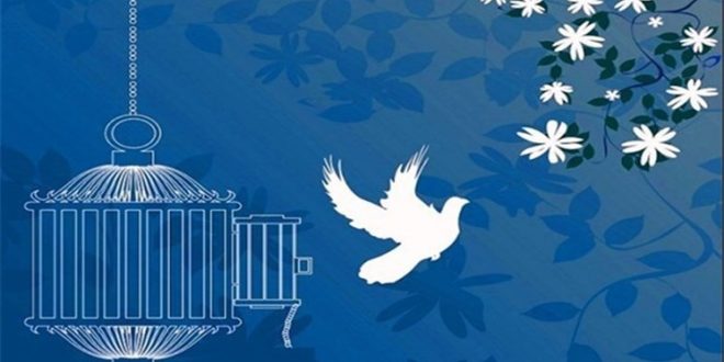 بوشهر مهیای عید فطر